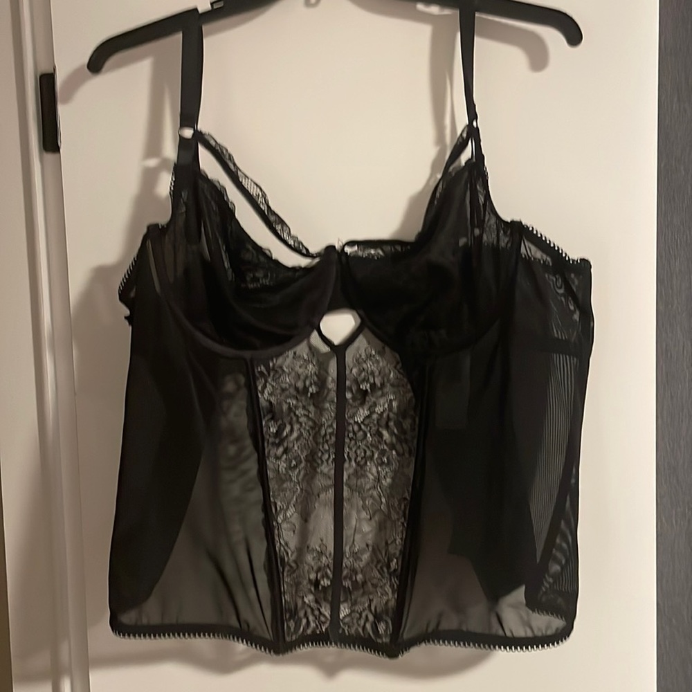 Torrid Curves Corset